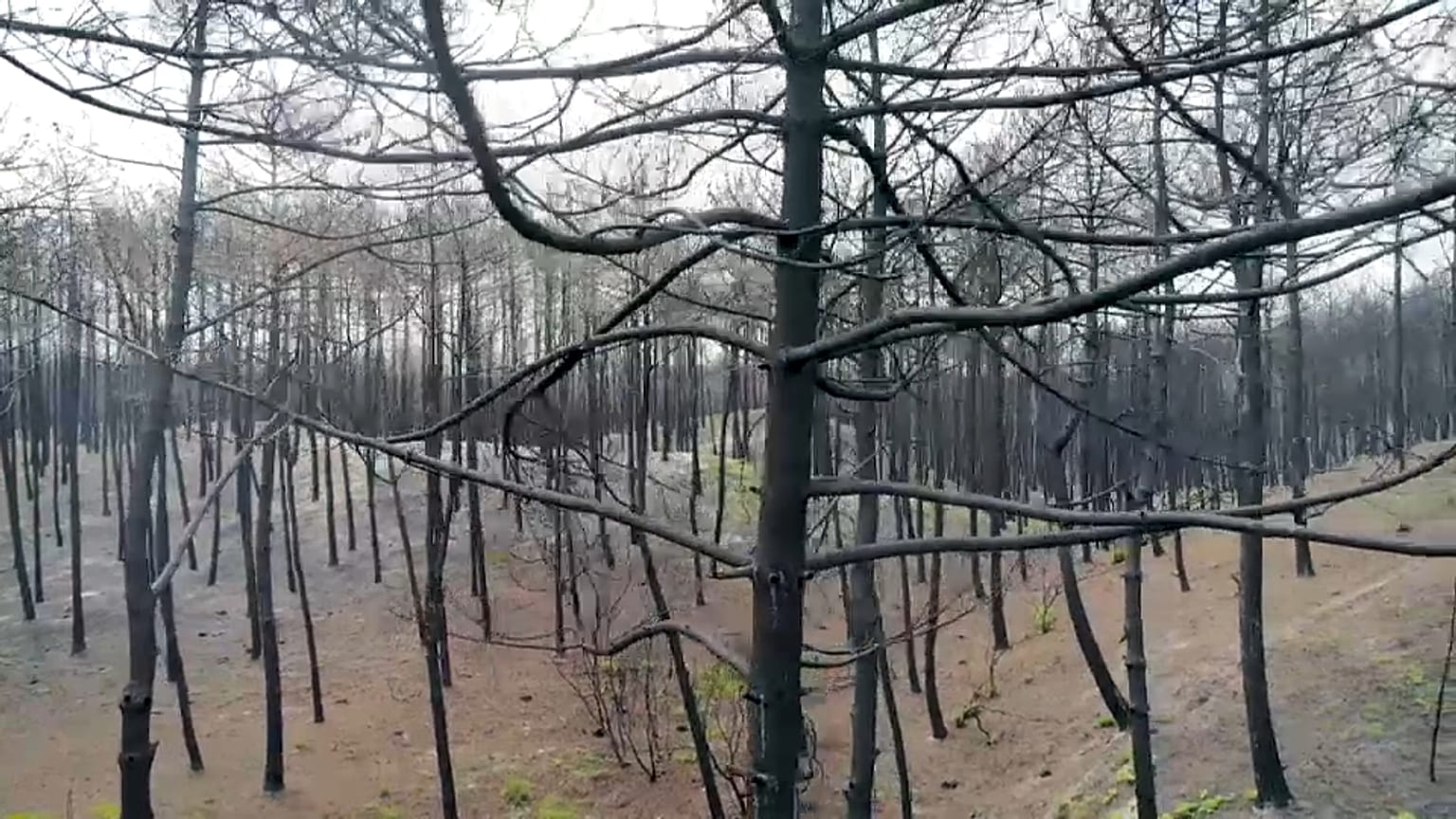 Klimaklage gegen EU 