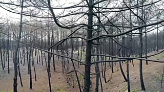 Klimaklage gegen EU 