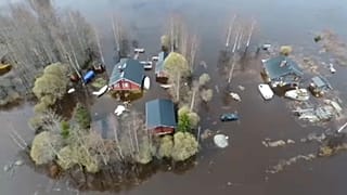 Clima extremo: Famílias processam União Europeia