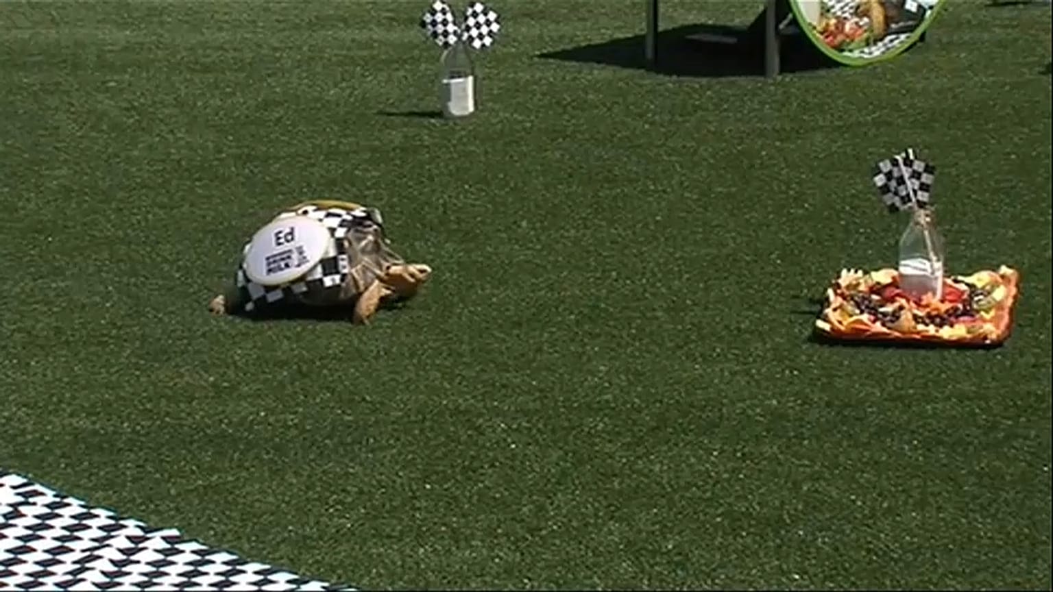 Indianapolis 500: Ed gewinnt das Rennen der Schildkröten