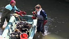 Tonnen von Plastikmüll in Flüssen