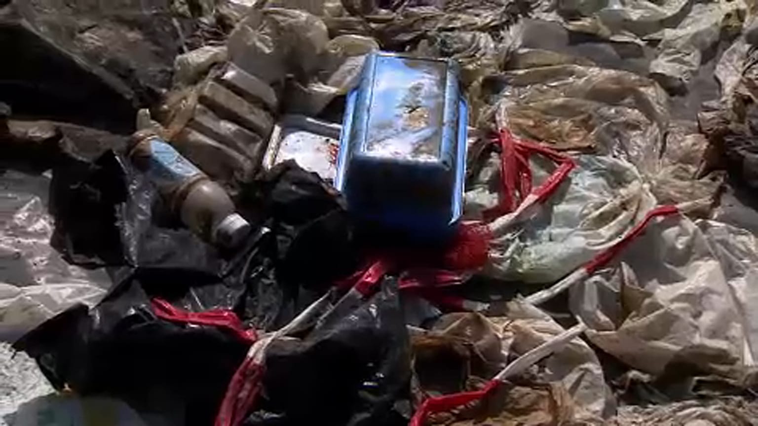 'The plastic is a disaster' - rescuing Belgium's rivers