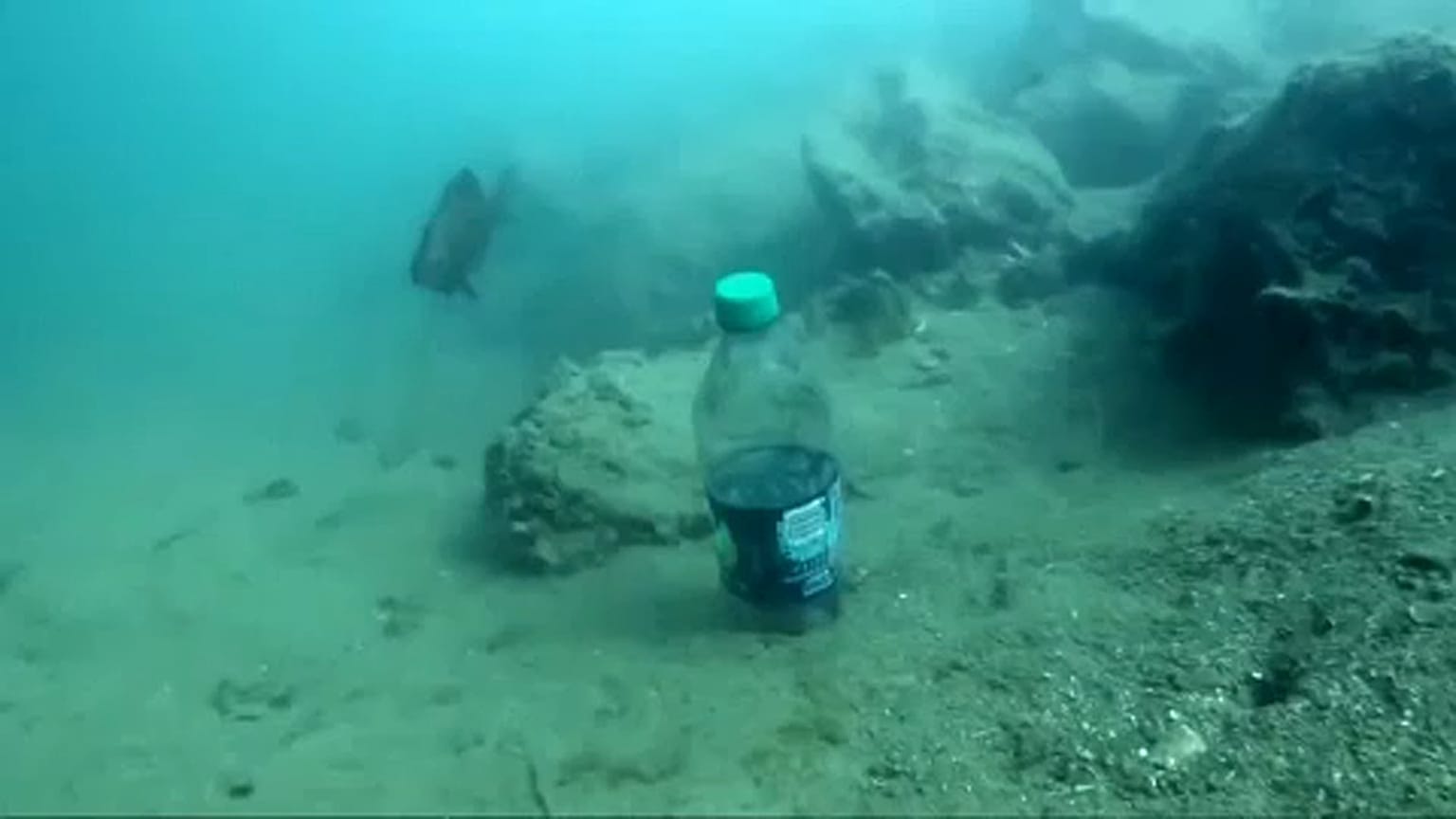 AB plastik çöpleri azaltmak istiyor