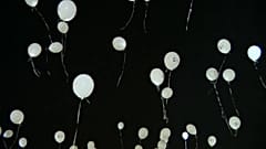 Ungarn: Aktion für vermisste Kinder