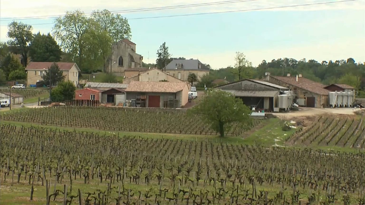 Vinyards in France's Bordeaux region hit by hail storm