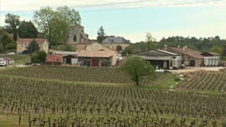 Vinyards in France's Bordeaux region hit by hail storm