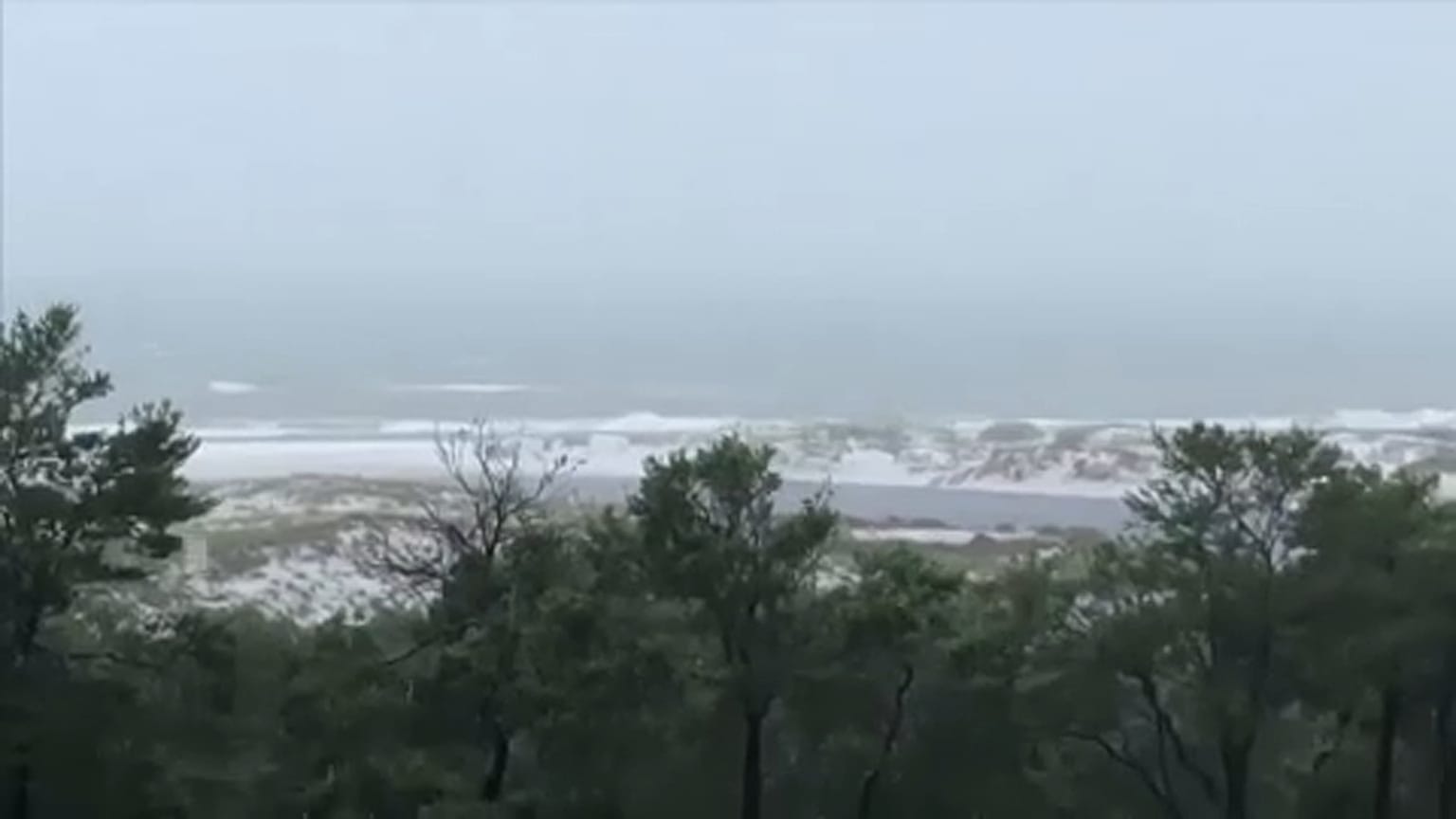 Florida: Rombol az Alberto