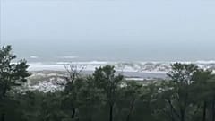 Florida: Rombol az Alberto