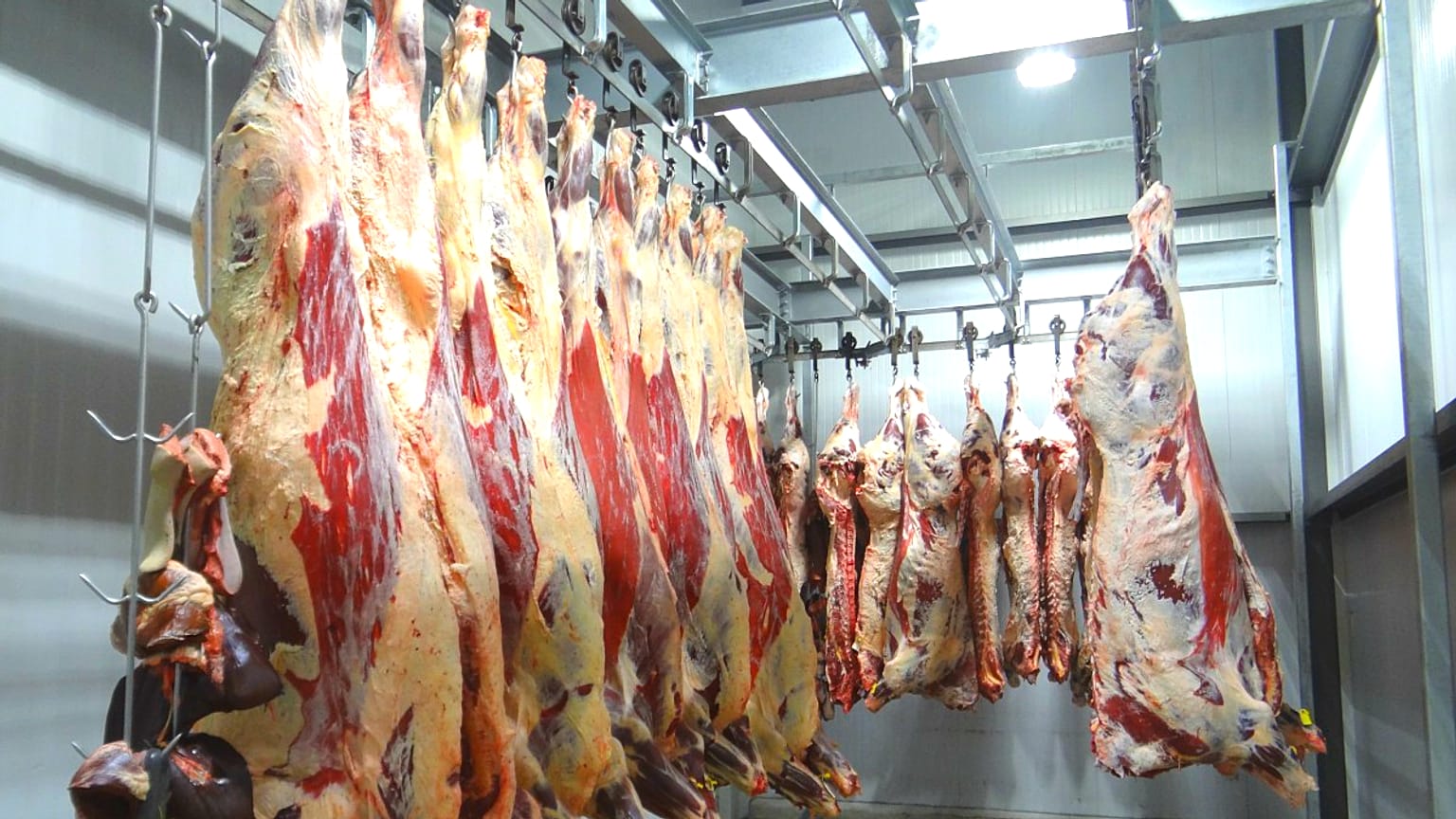 Avrupa Adalet Divanı'ndan helal kesime kısıtlama