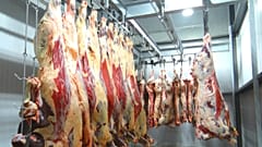 Avrupa Adalet Divanı'ndan helal kesime kısıtlama