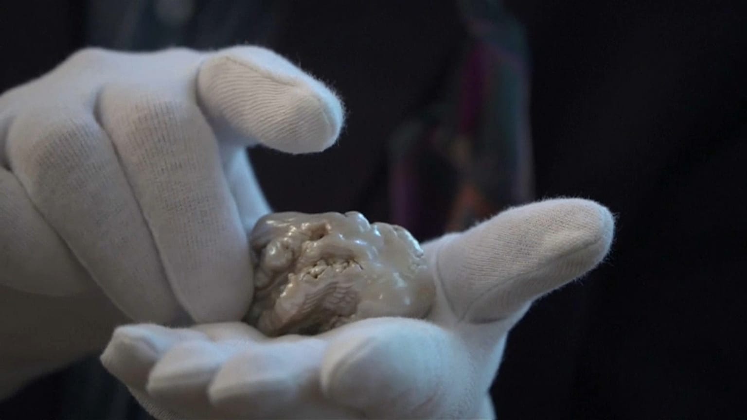 Dünyanın en büyük tatlısu incisi açık artırmayla satılacak