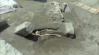 The skeleton discoverd by archaeologists in Pompeii