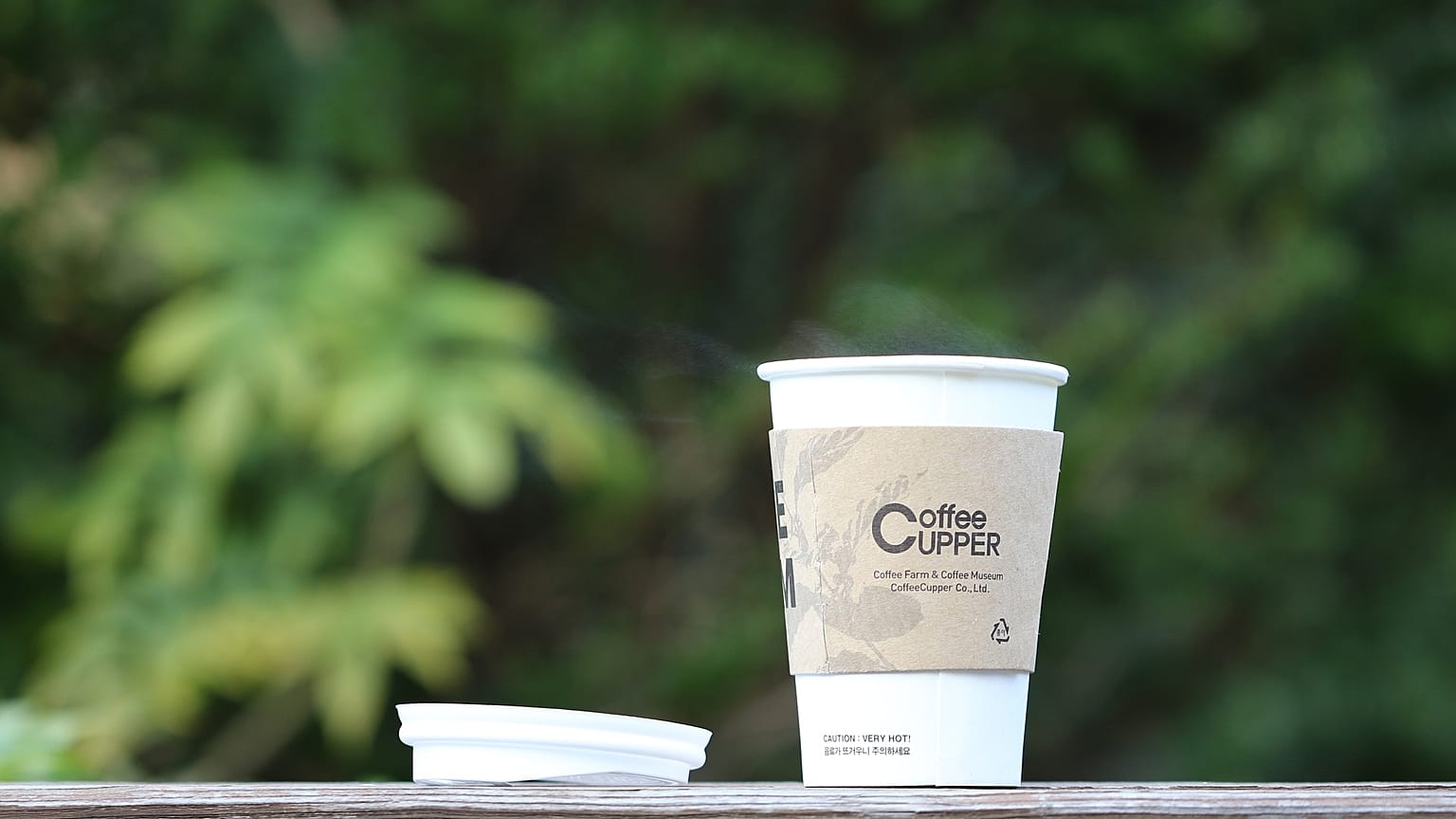 Scotland bans single-use coffee cups in government buildings