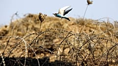 USA verurteilen Hamasangriffe auf Israel