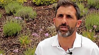 Mundial 2018: Ricardo acredita em Portugal