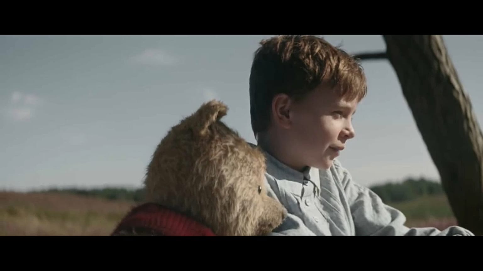 Winnie l'ourson revient au cinéma