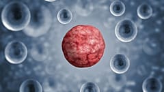 Cancro, scovato il Sacro Graal della ricerca