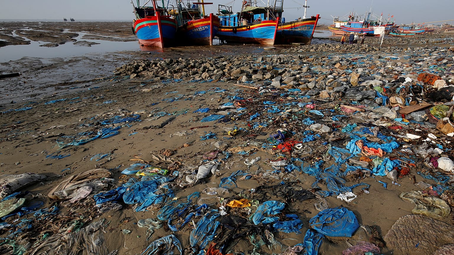 Le plastique, un fléau environnemental