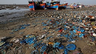 Le plastique, un fléau environnemental