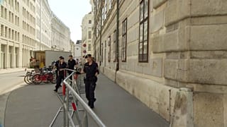 Viena se prepara para la visita de Putin