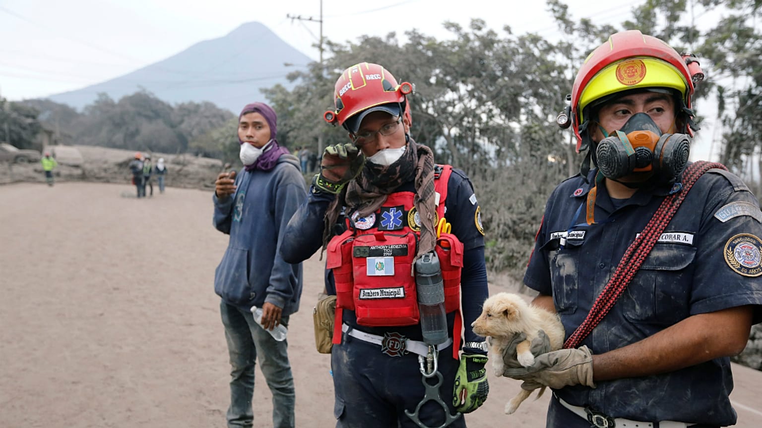 Bombeiros ajudam cachorro entre as cinzas do Vulcão de Fogo
