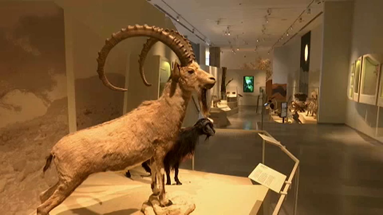 Modern természettudományi múzeum nyílik Tel Avivban 