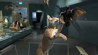 Israel inaugura Museu de História Natural