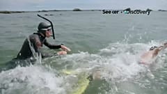 Un Français à l'assaut de la pollution marine