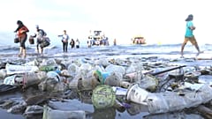 Dünya Çevre Günü: Plastik Kirliliğine Son Ver