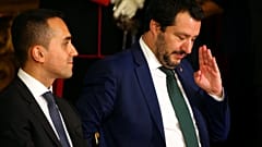 Salvini gesturing