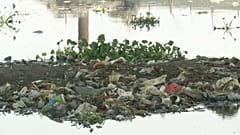 Índia assinala Dia Mundial do Meio Ambiente com combate ao plástico