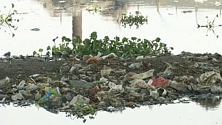 Índia assinala Dia Mundial do Meio Ambiente com combate ao plástico