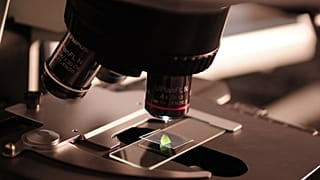 Οι επιστήμονες χαρτογράφησαν γενετικούς κώδικες 3.000 επικίνδυνων βακτηρίων