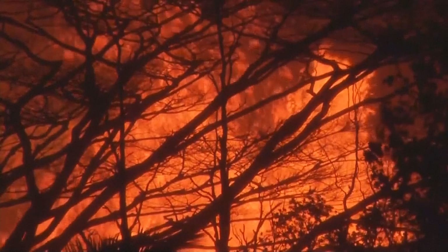 Hawaii's 'fissure 8' spewing lava