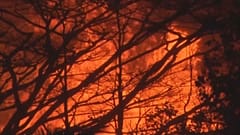 Hawaii's 'fissure 8' spewing lava