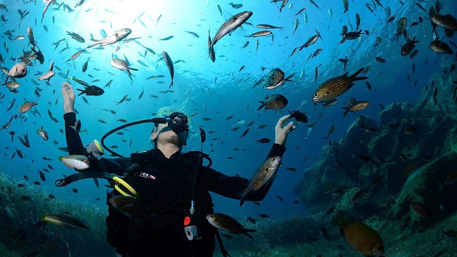 Pierre-Yves Cousteau