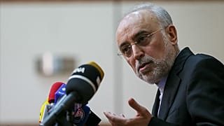 صالحی: برای ۱۹۰ هزار سو به سالانه ۳۰۰ تن اورانیوم نیاز داریم که فعلا نداریم