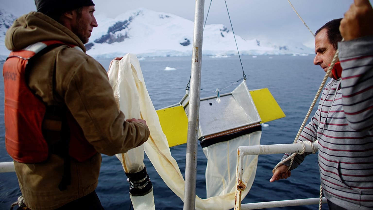Greenpeace activists Grant Oakes and Marcelo Legname pull a manta trawl out