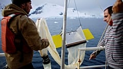Greenpeace activists Grant Oakes and Marcelo Legname pull a manta trawl out