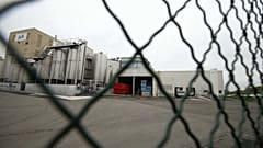 Scandalo salmonella, Lactalis: "Il batterio era nella torre 1"