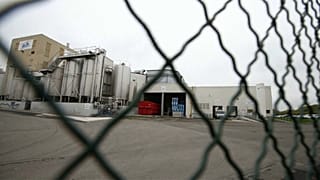 Scandalo salmonella, Lactalis: "Il batterio era nella torre 1"