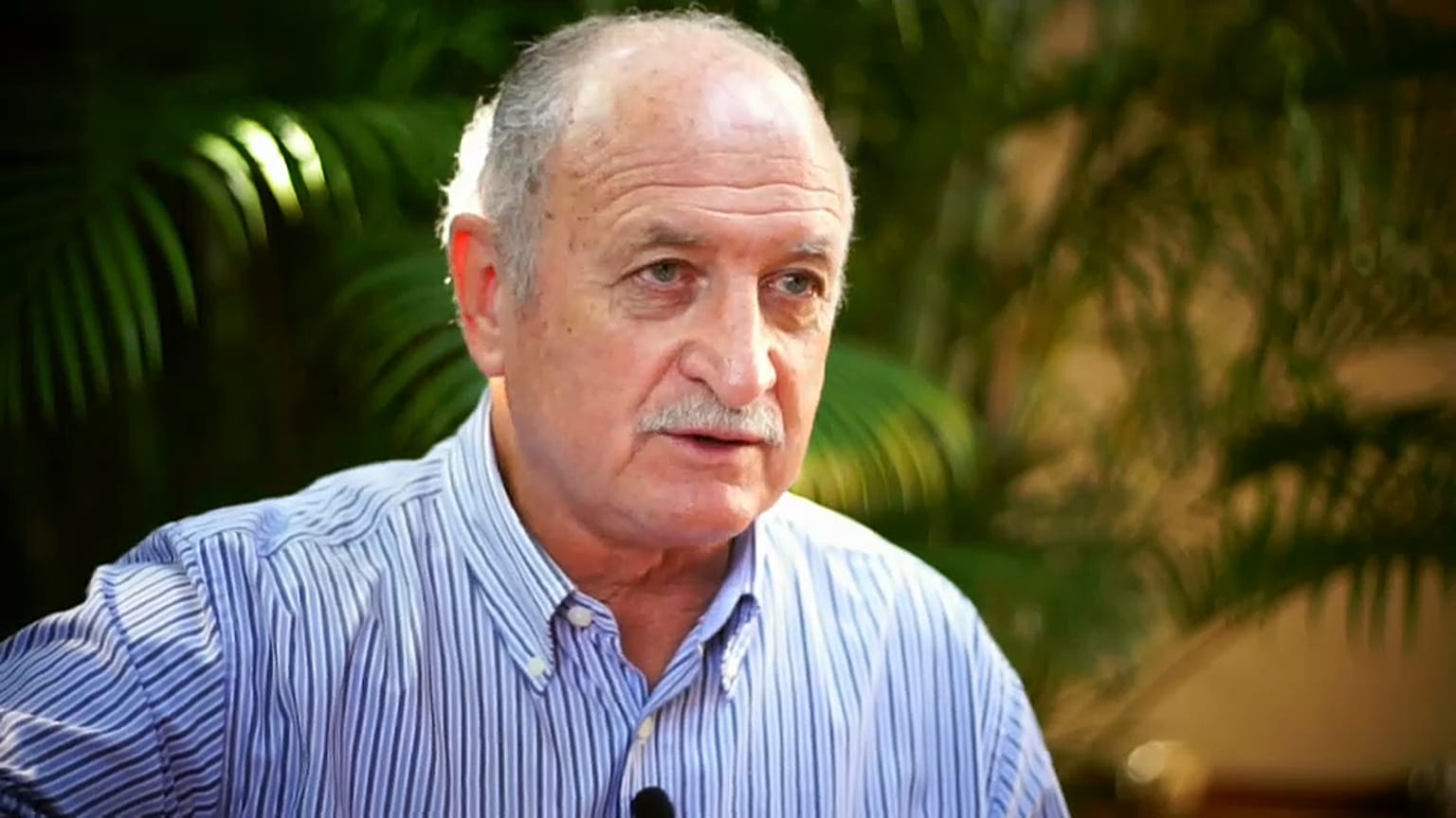 Scolari tem ideias bem claras sobre o futuro