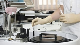 Syphilis and gonorrhoea spikes in the UK