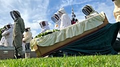 Во Франции прошли символические похороны пчеловодства