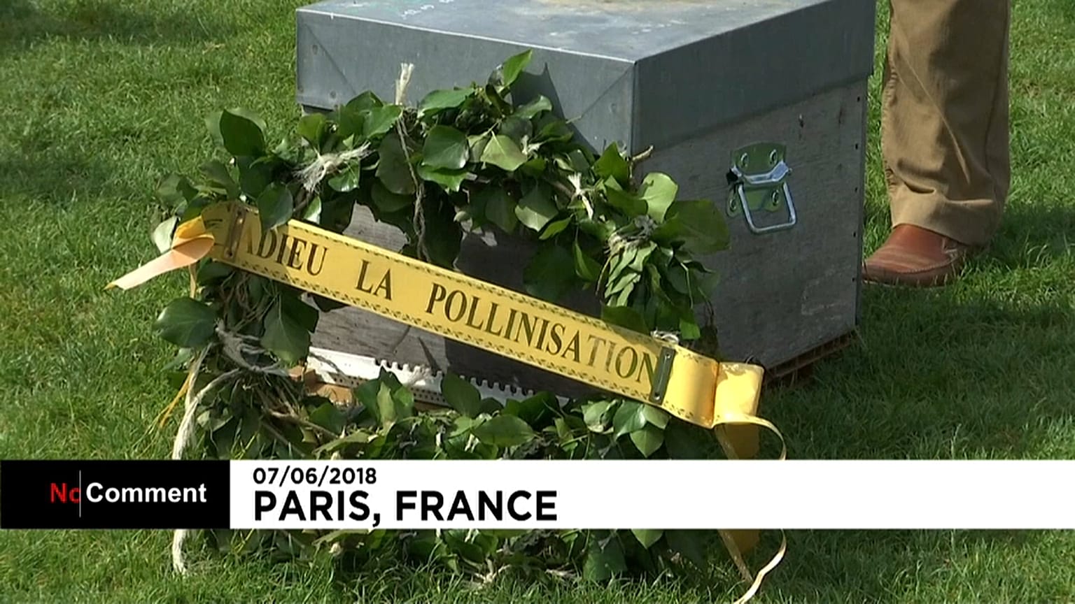 Surmortalité des abeilles : les apiculteurs français se mobilisent