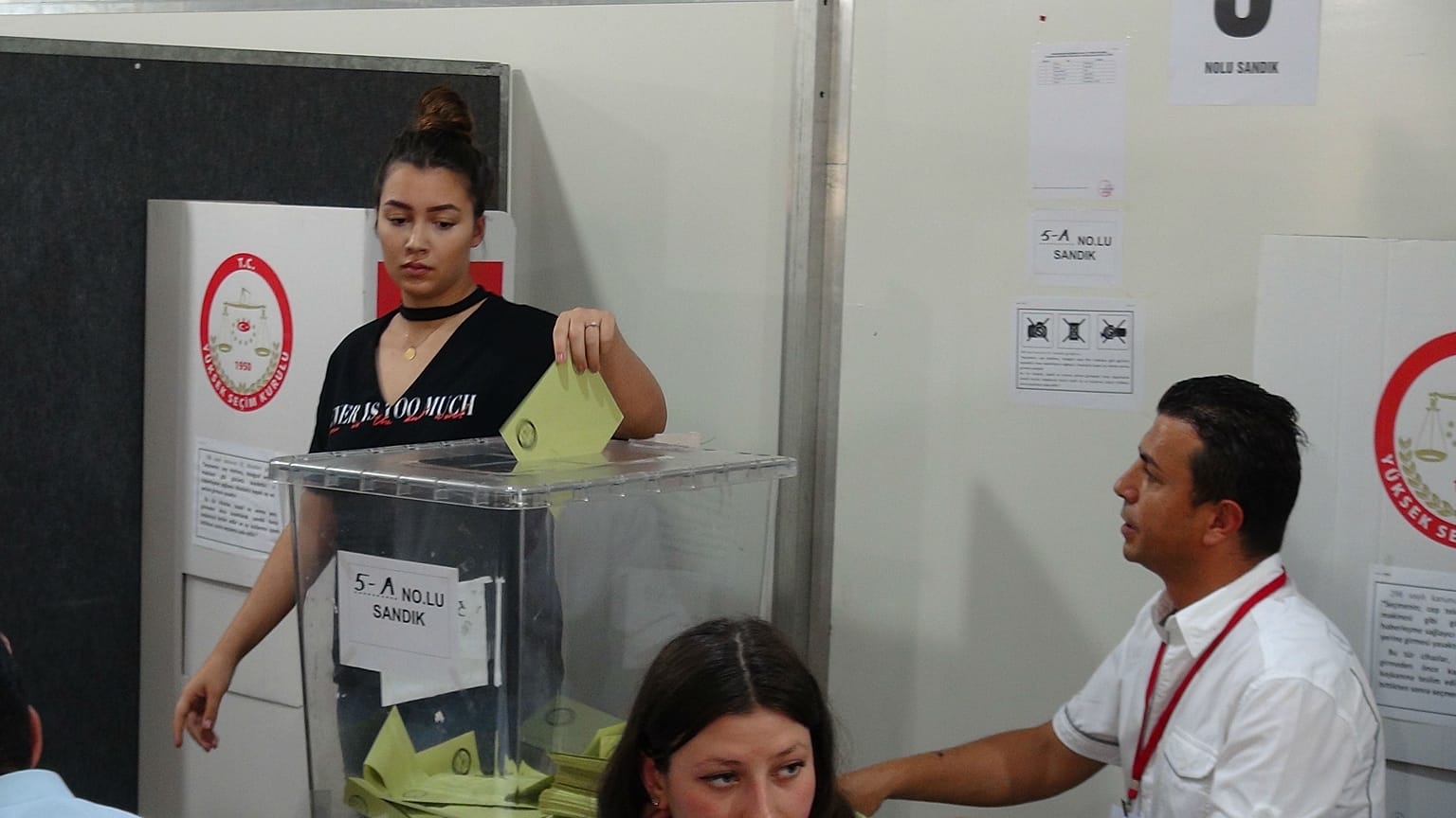 En genç adayların partilere göre dağılımı 