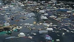 Il "Mediterraneo in trappola"