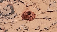 Sein oder Nichtsein: Marsroboter findet organische Moleküle