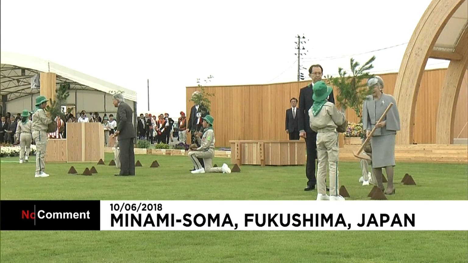 Fukushima : des arbres en signe de renouveau 