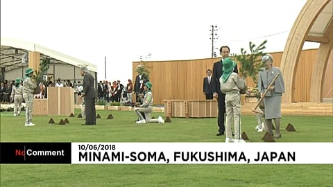 Fukushima : des arbres en signe de renouveau 